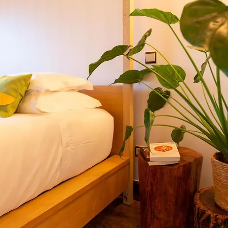 乡村民宿 Ar Cadaval